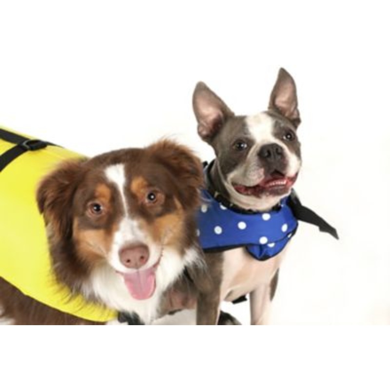 Seachoice DV-XS-86270 86270 Dog Life Vest – Blue Polka Dot, XS