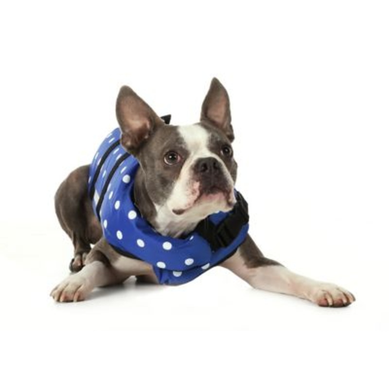 Seachoice DV-XXS-86260 86260 Dog Life Vest – Blue Polka Dot, XXS