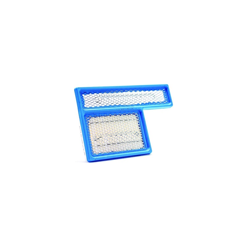 Onan 140-3116 Onan/Cummins 1403116 Air Filter OG Carb -HGJAC, HGJAB; LP Liquid HGJAA