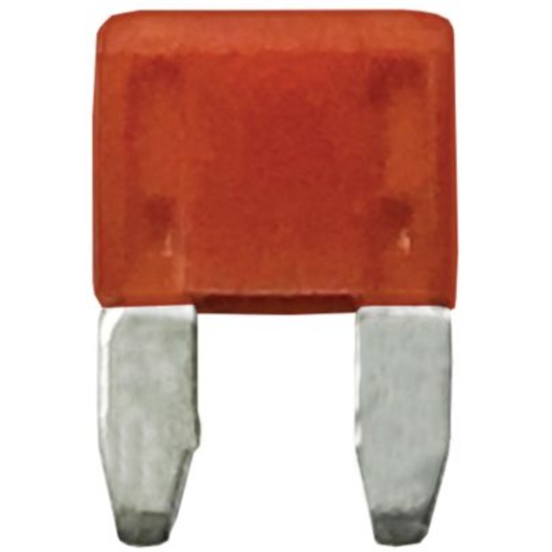 Wirthco 24110 Battery Doctor Minblade Fuses, 10A, 5/Pk