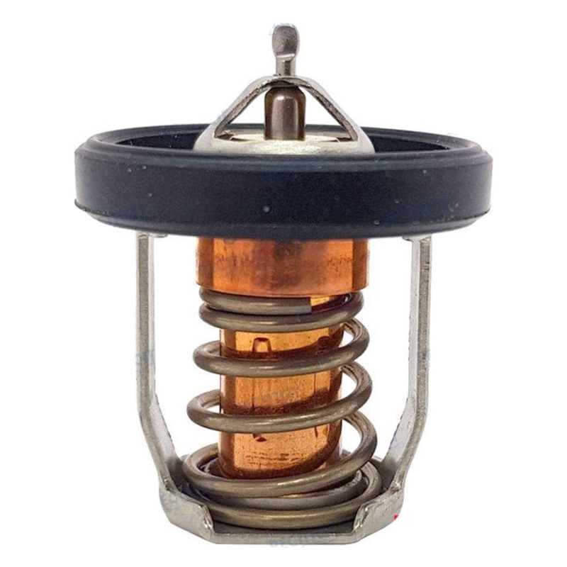 THERMOSTAT FOR SUZUKI OUTBOARD 2.5 HP 4 STROKE 2006 17670-91J01 50 DF2.5