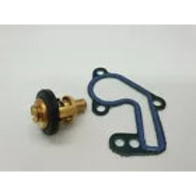 9.9 15 HP 2 STROKE 9.9D 15D Yamaha Outboard Thermostat & Gasket