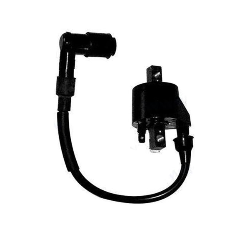 COIL-IGNITION Mercury Mariner Outboard 16064